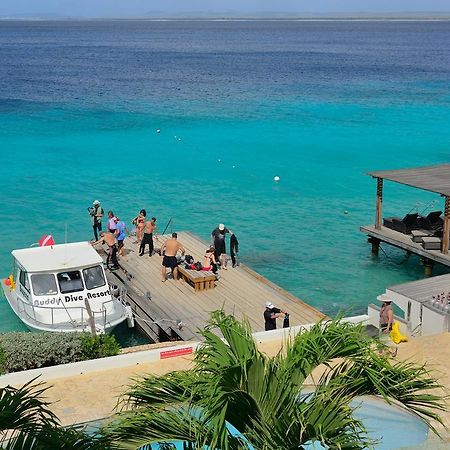 Bonaire Belmar Oceanfront Apartments المظهر الخارجي الصورة