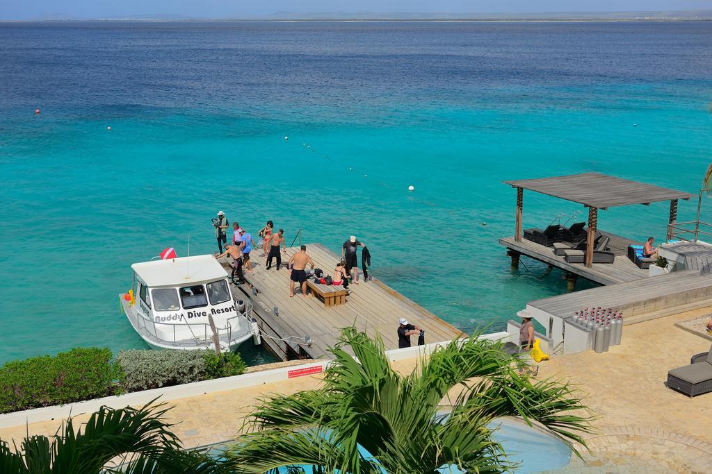 Bonaire Belmar Oceanfront Apartments المظهر الخارجي الصورة