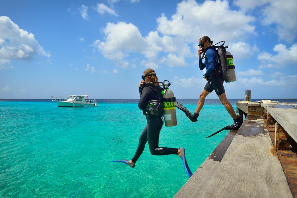Bonaire Belmar Oceanfront Apartments المظهر الخارجي الصورة