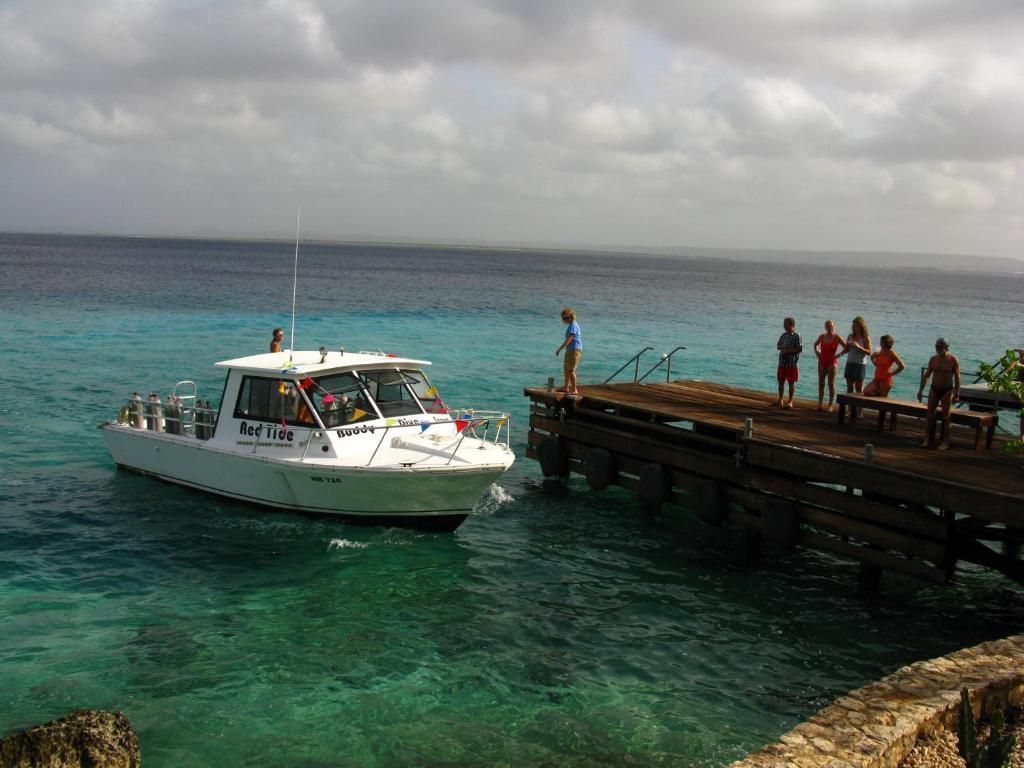 Bonaire Belmar Oceanfront Apartments المظهر الخارجي الصورة