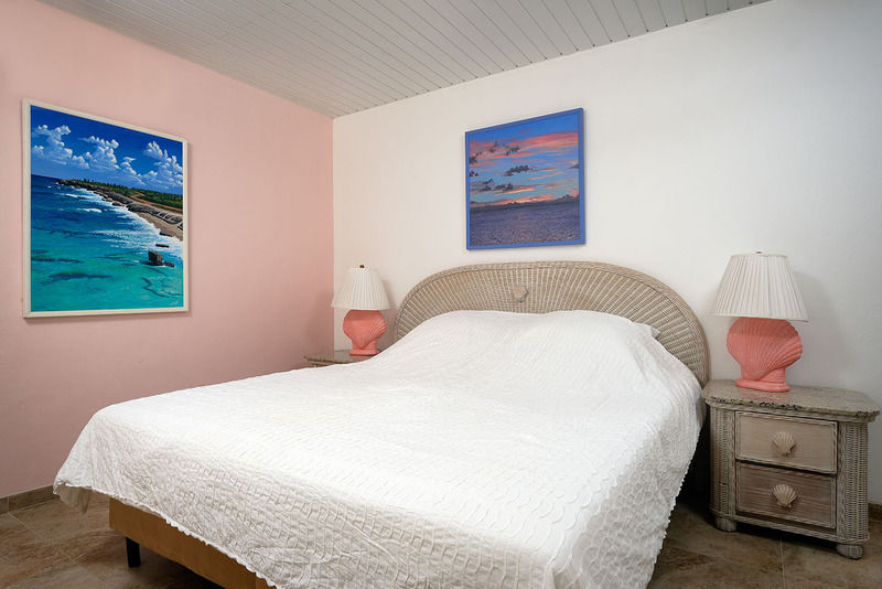 Bonaire Belmar Oceanfront Apartments المظهر الخارجي الصورة