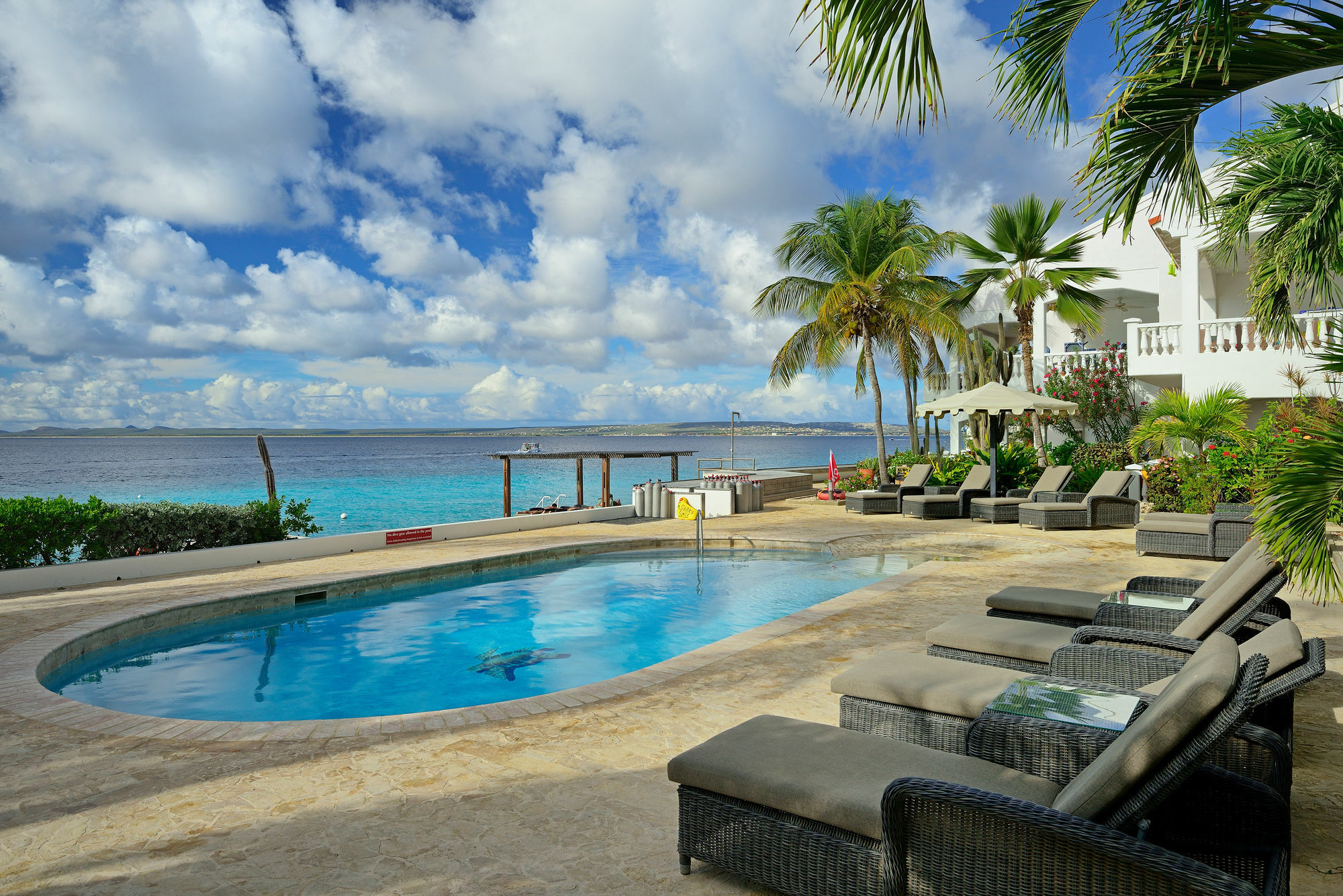 Bonaire Belmar Oceanfront Apartments المظهر الخارجي الصورة