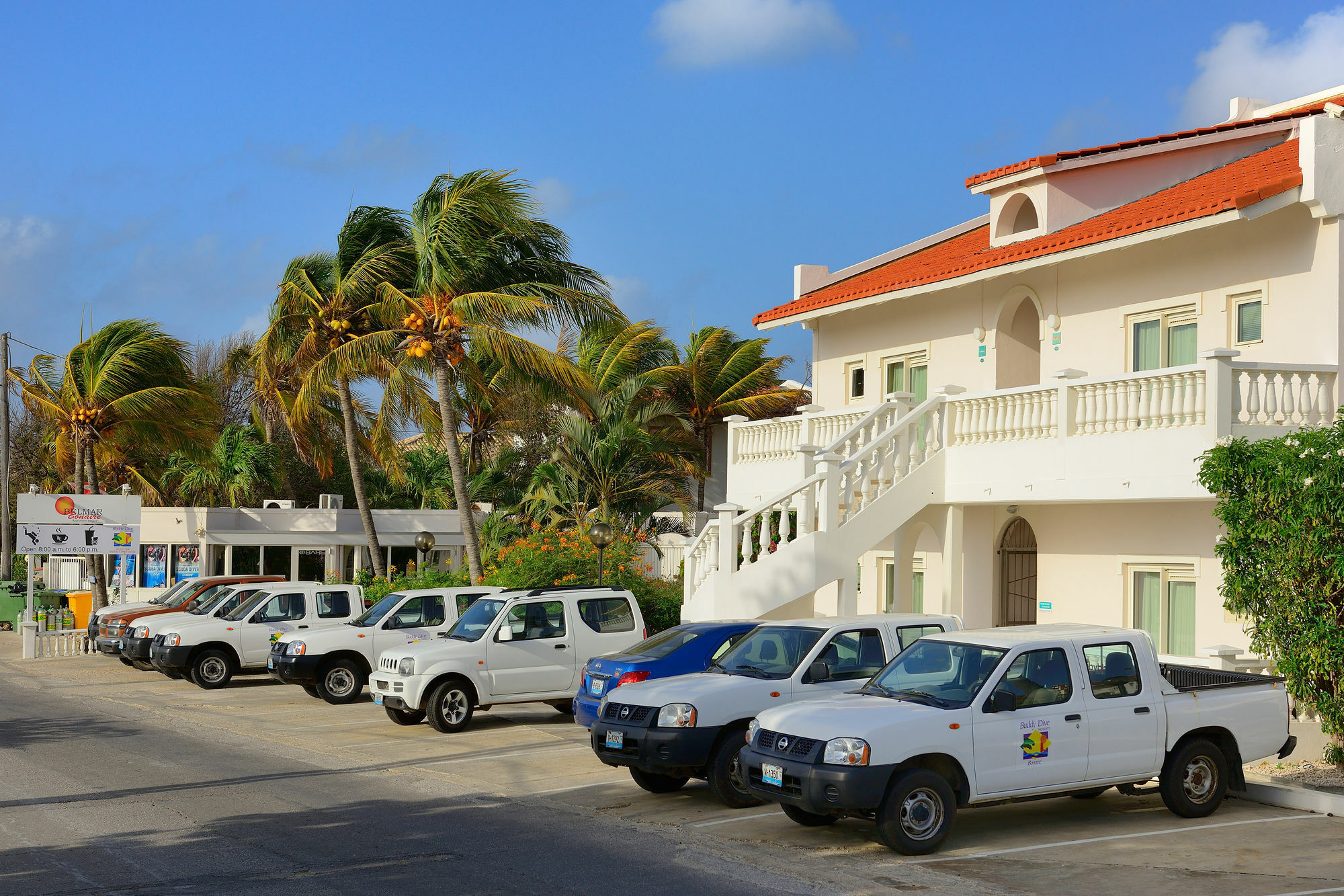 Bonaire Belmar Oceanfront Apartments المظهر الخارجي الصورة