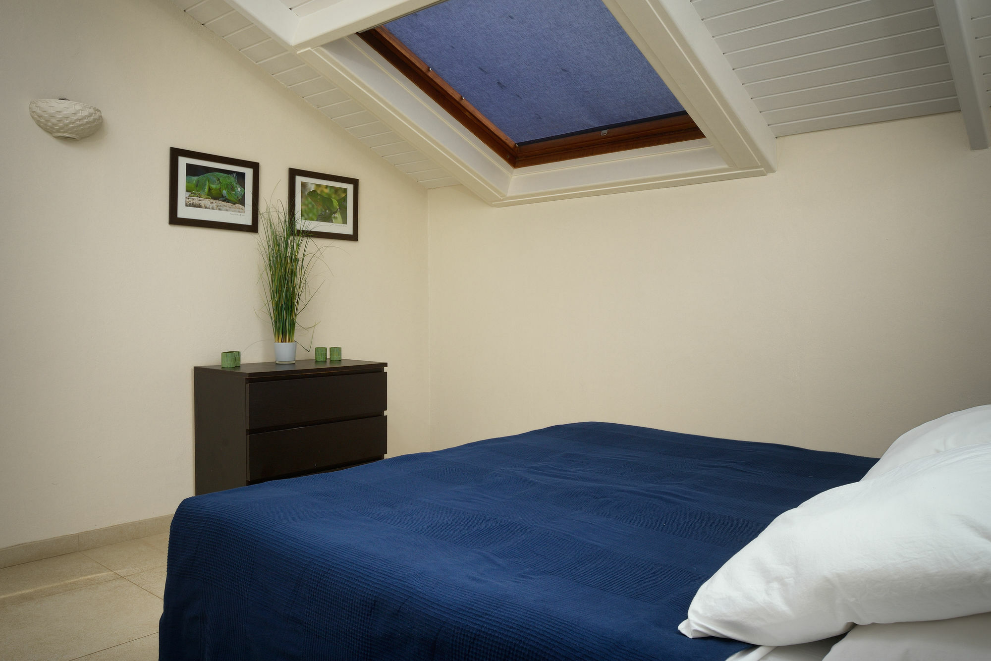 Bonaire Belmar Oceanfront Apartments المظهر الخارجي الصورة